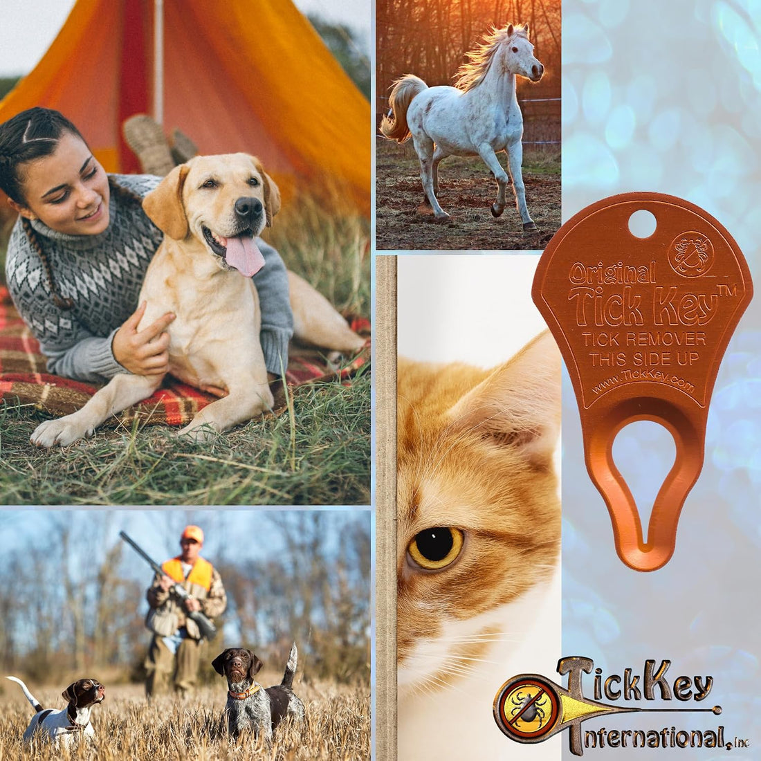 High Visibility Bundle - The Original Tick Key - Tick Detaching Device