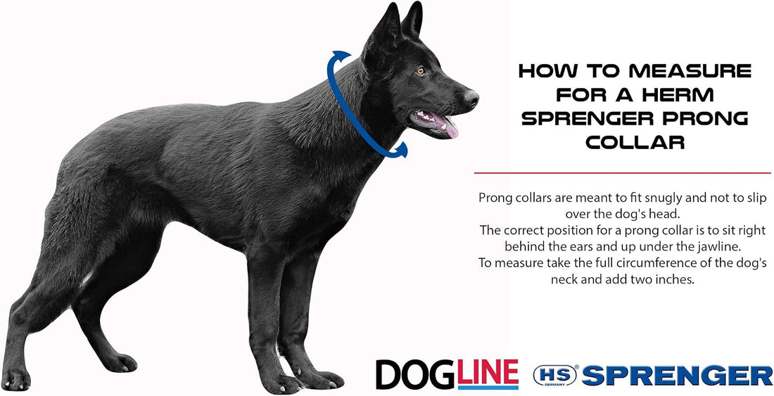 Herm Sprenger Curogan Prong Dog Training Collar Ultra-Plus Pet Pinch
