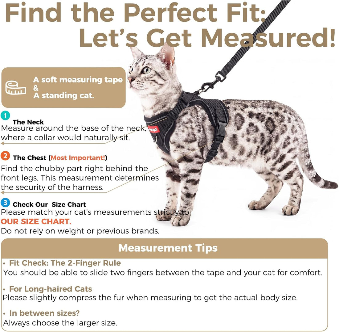 Cat Harness and Leash Set, Lightweight Air-Mesh Cat Vest, Black, XL