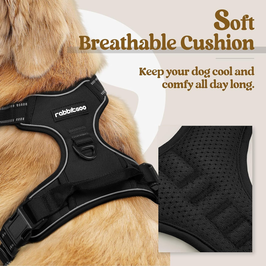 rabbitgoo Dog Harness No Pull with 2 Leash Clips