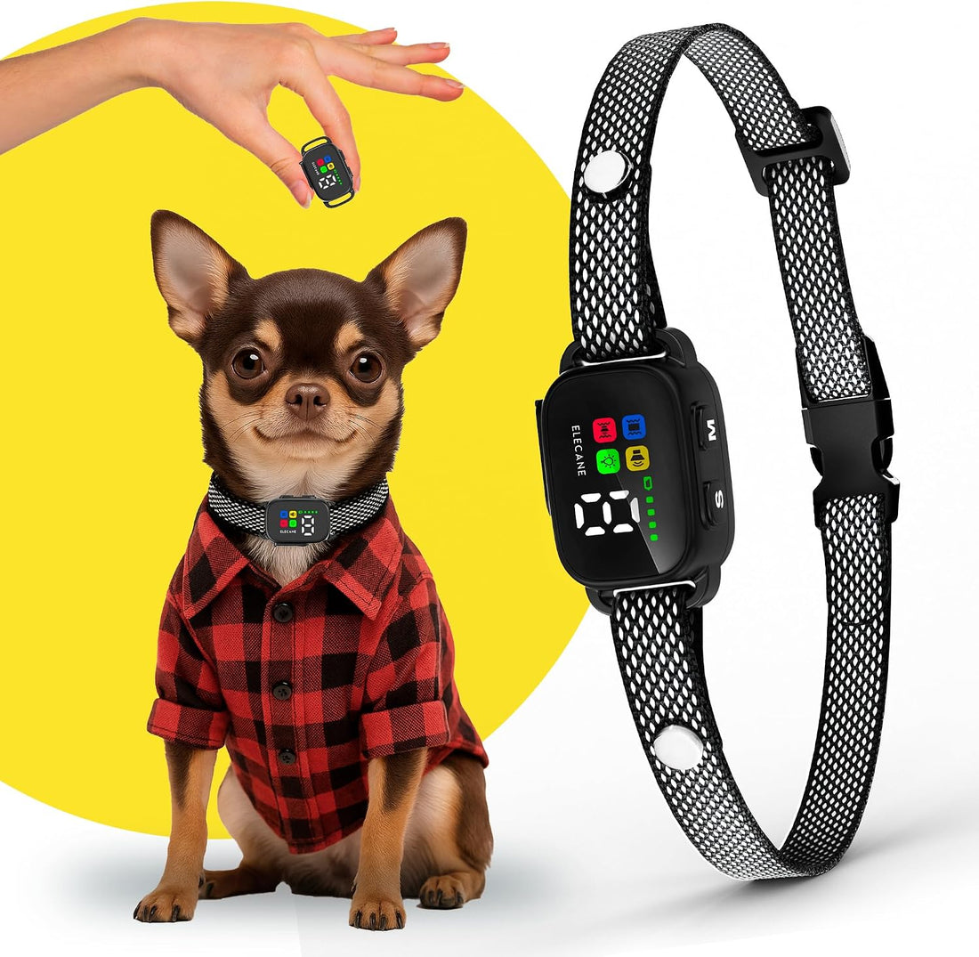 Tiny Bark Collar for Small Dogs 5-15 lbs and Puppies