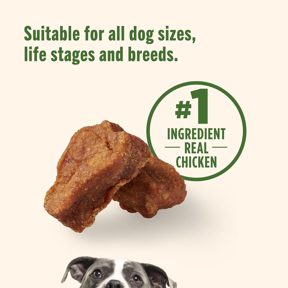 Nutrish Savory Roasters Dog Treats with Chicken, 30 oz. Pouch