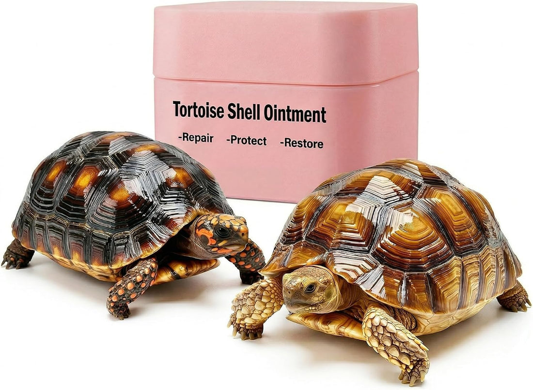Tortoise Shell Conditioner Balm