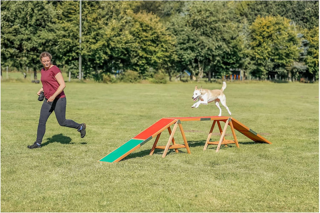 Trixie Agility Dog Walk with Contact Zones