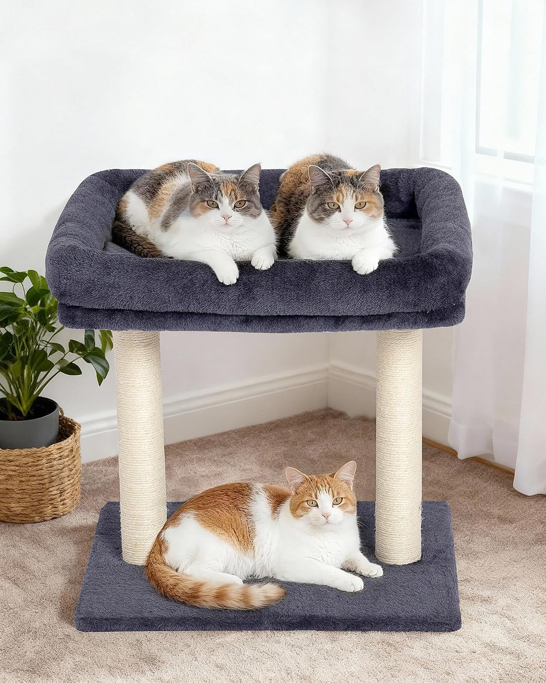 19" Small Cat Tree with Scratching Post for Indoor Cats with Perch