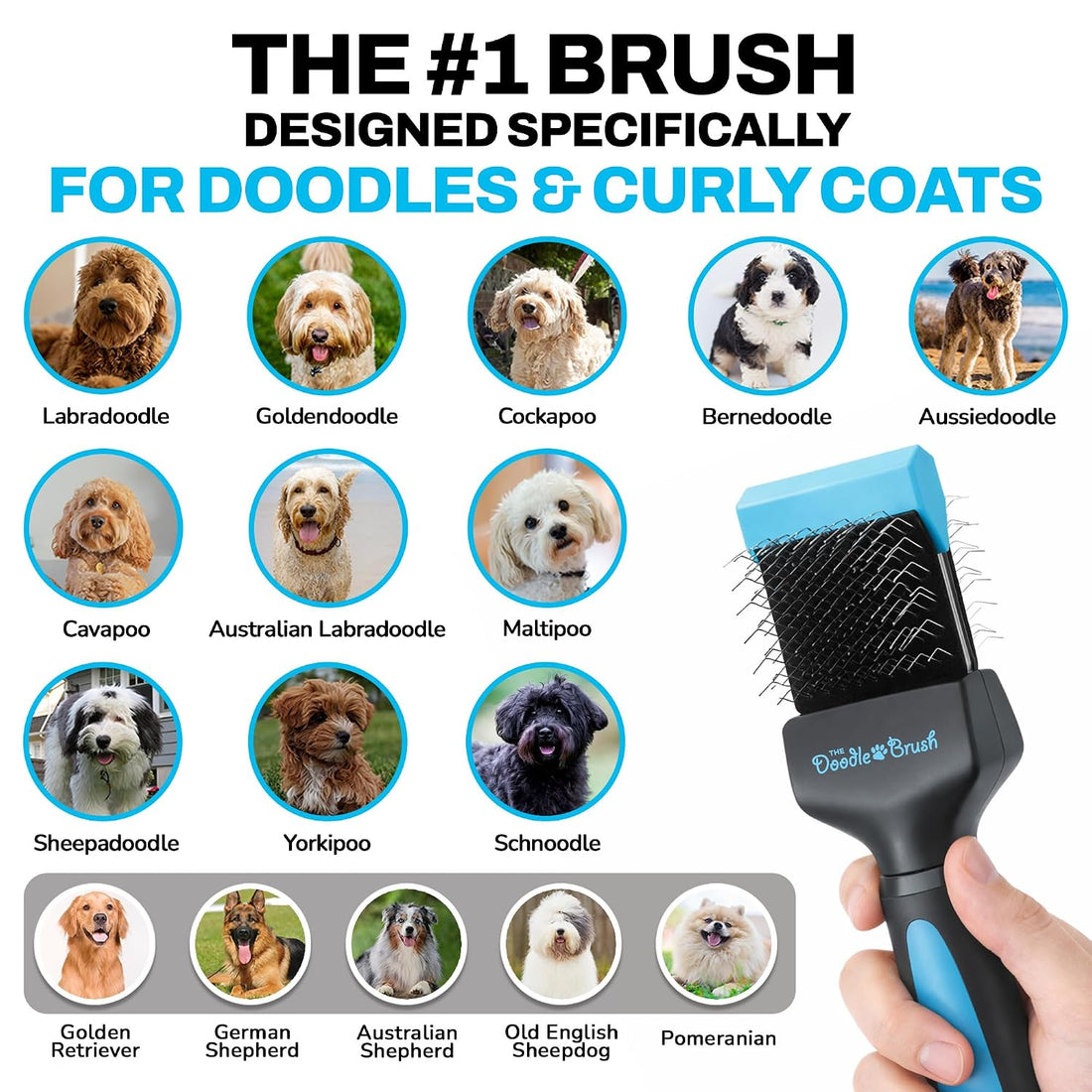 The Doodle Brush Slicker Dog Brushes Curly Coat Detangler, Single Head