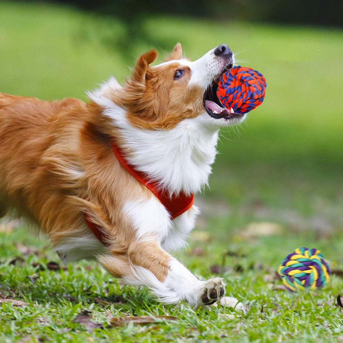 SHARLOVY Large Tough Chew Toys for Aggressive Chewers Large
