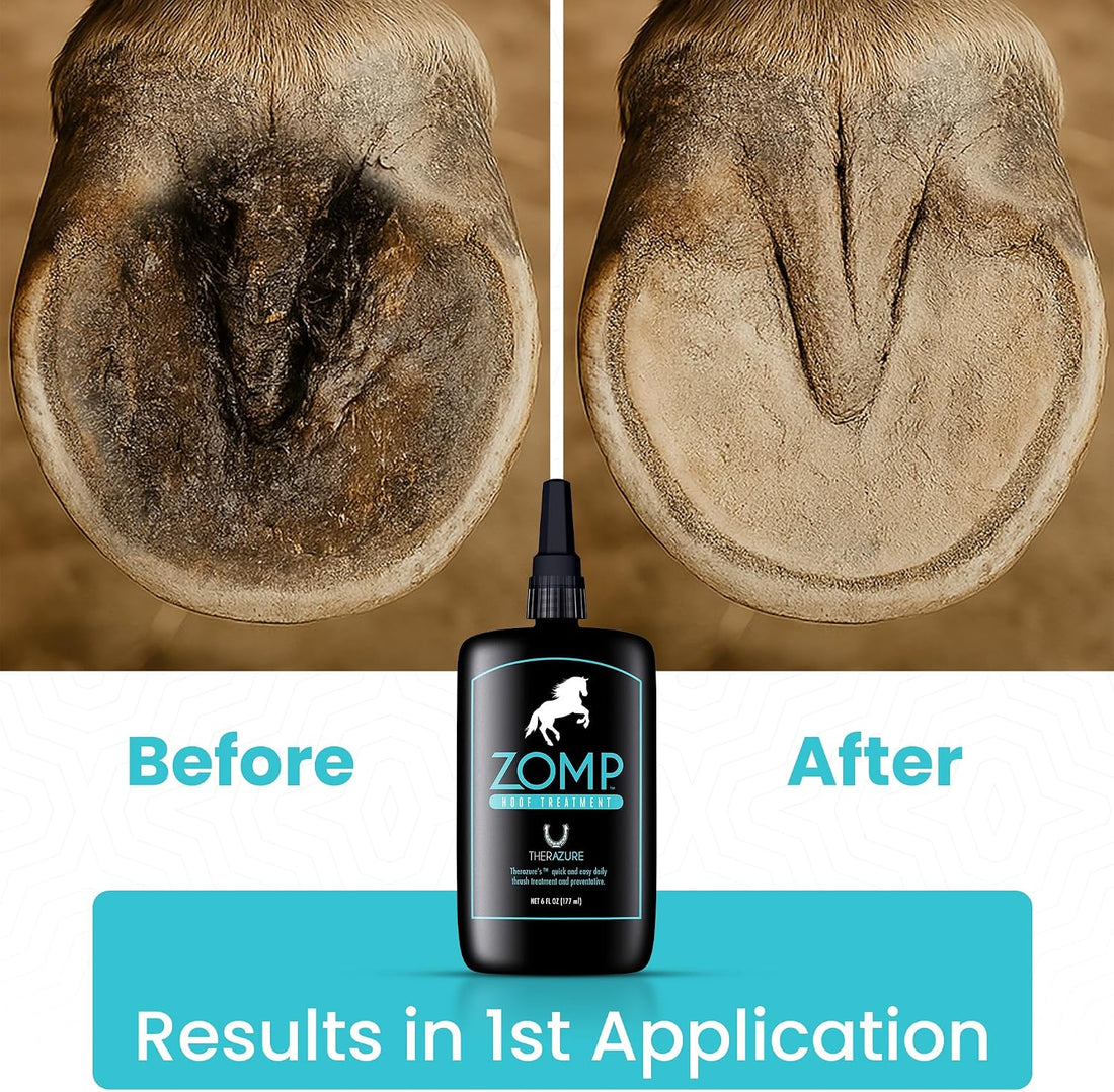 Zomp Liquid Hoof Thrush and White Line Treatment for Horses