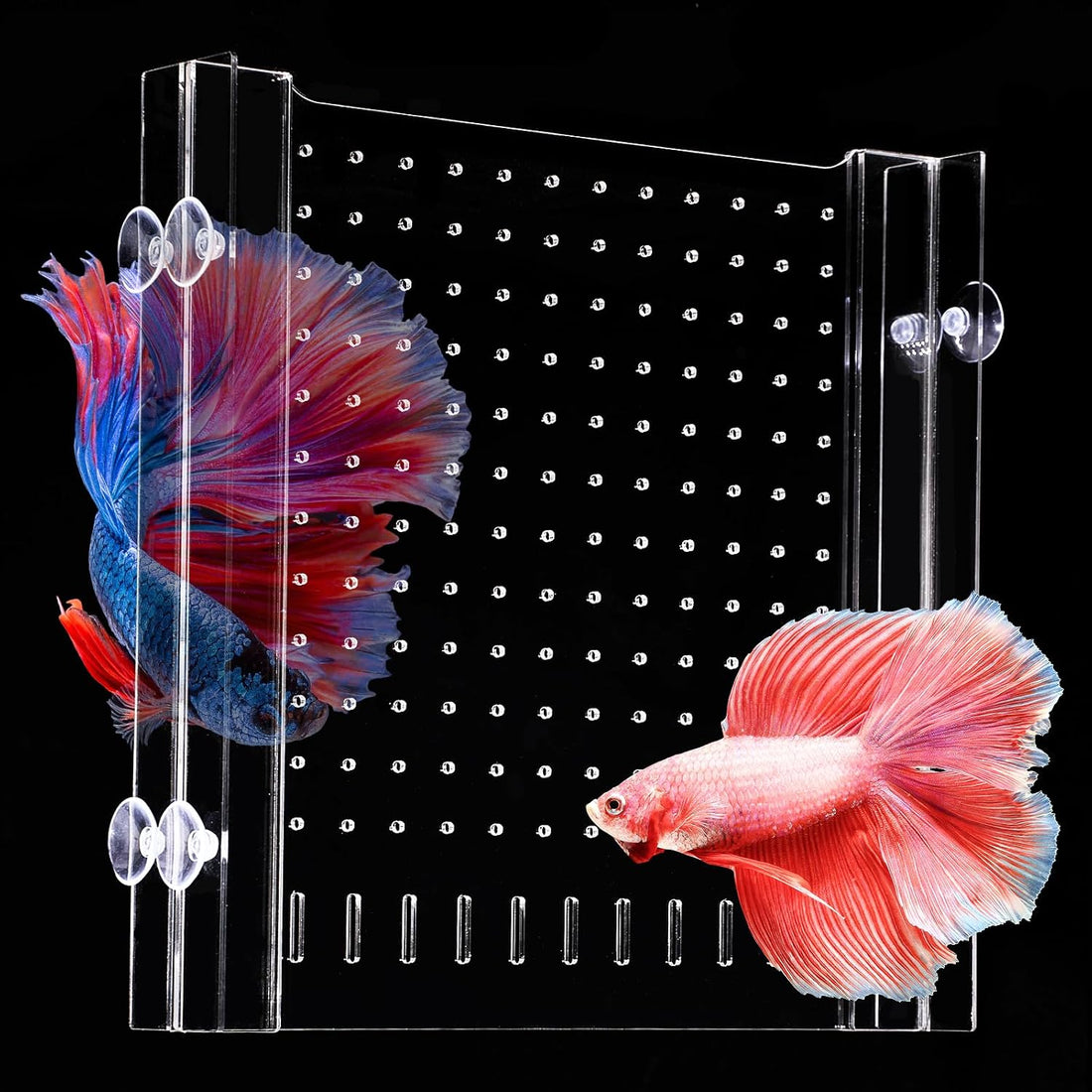 Aquarium Divider with Suction Cup, Clear, 11×11 in