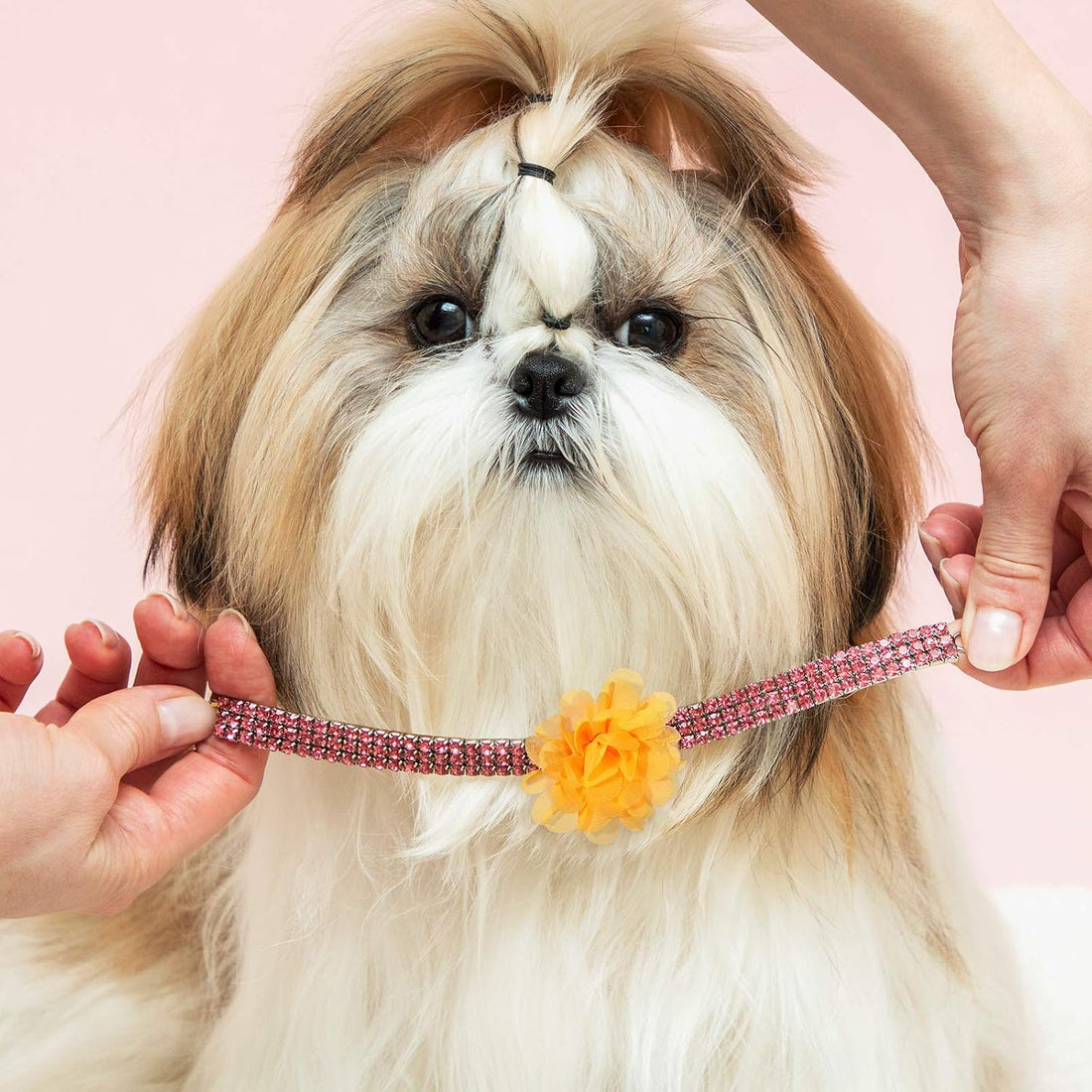 WILLBOND 30 Pcs Dog Collar Flowers Bulk for Puppy Cat Grooming