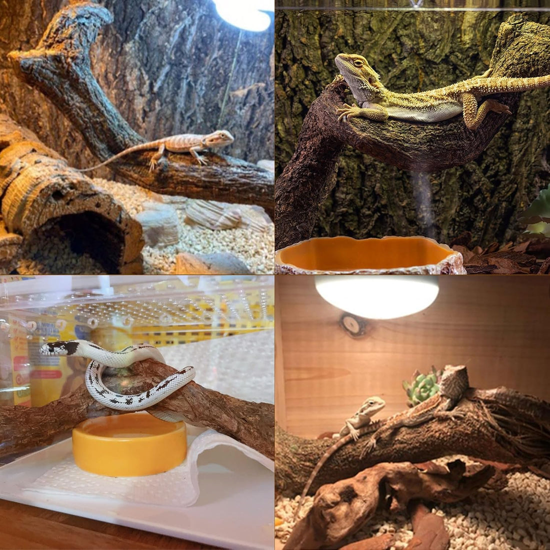 Reptile Decor 4PCS Natural Forest Branch Terrarium Habitat Wood