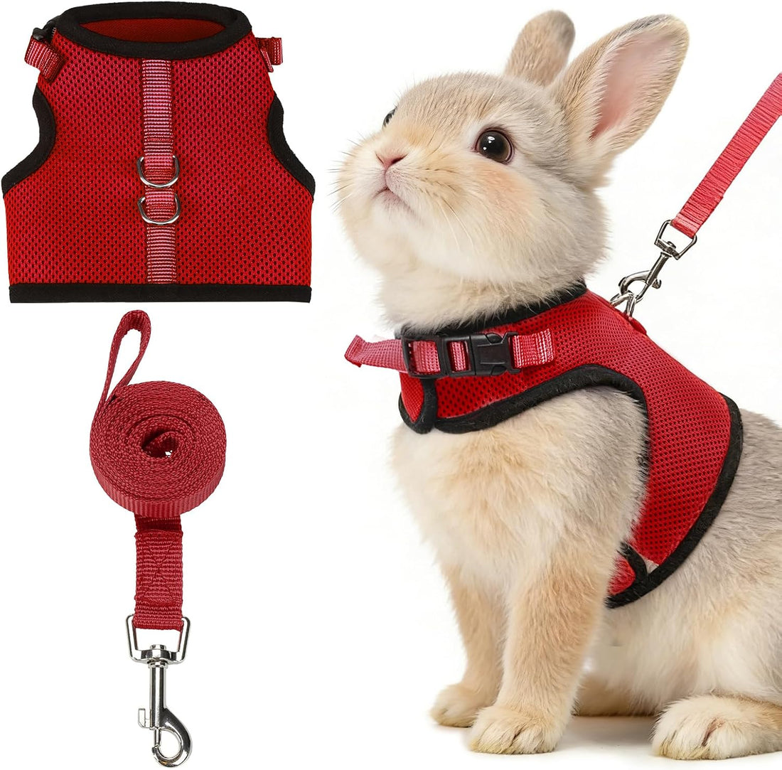 PUPTECK Bunny Rabbit Harness and Leash Set