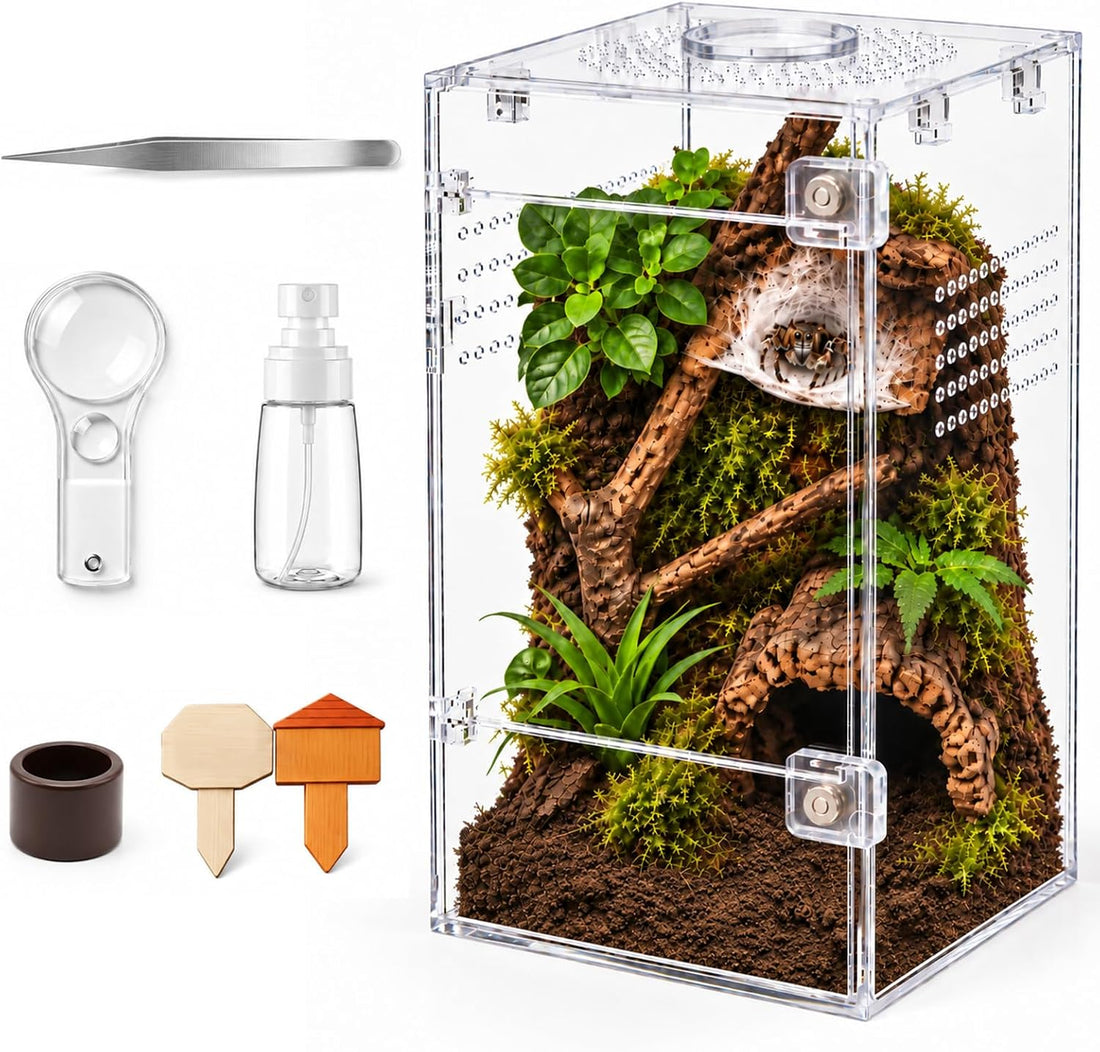 3''x3'‘x6'' Jumping Spider Enclosure Kit,Pre-Assembled PC Terrarium