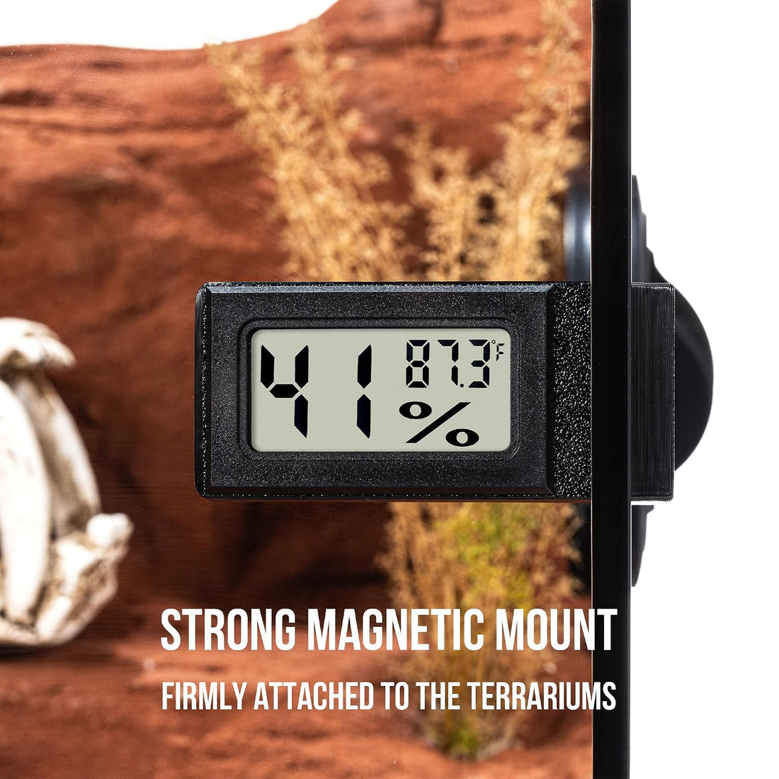 Magnetic Side‑Mount Reptile Thermometer and Humidity Gauge - 2 Pack