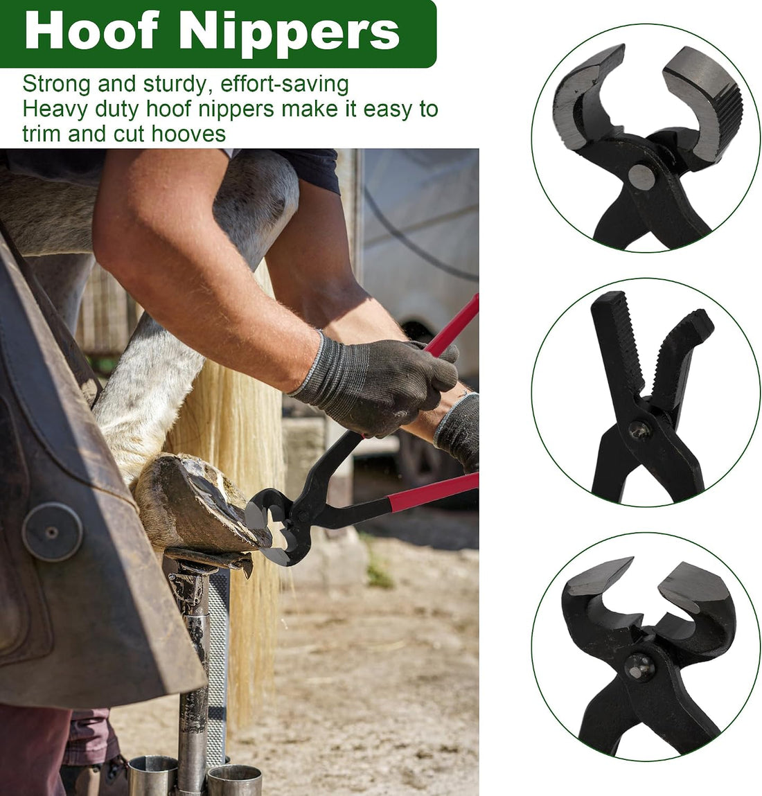 12Pcs Farrier Tools Kit, Hoof Trimming Tools with Tool Bag