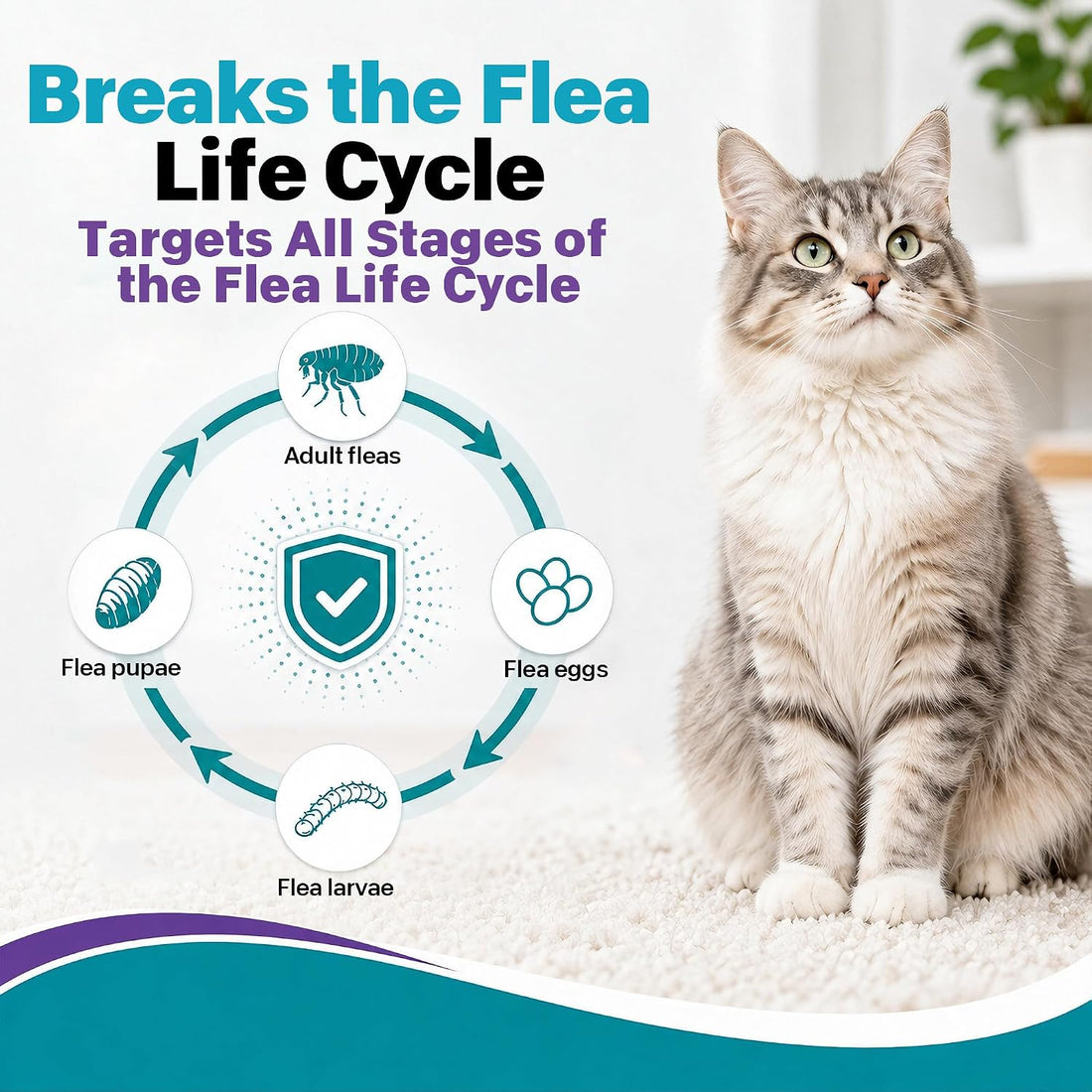 Cat Flea & Tick Topical Cat Care Drops for Kittens & Cats,12 Dose