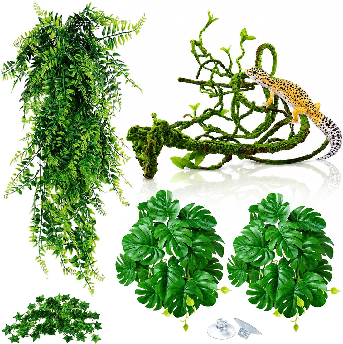 Reptile Plants for Terrarium Tank