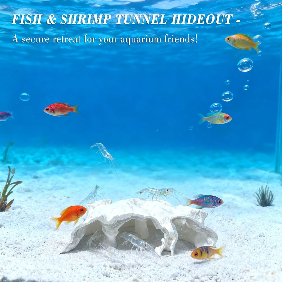 LIYAOLI Aquarium Ornaments Cave Tunnel with Viewing Ports