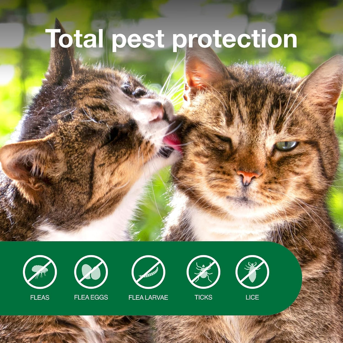 Advantage Treatment Spray for Cats, Kills Fleas & Ticks, 8 oz.
