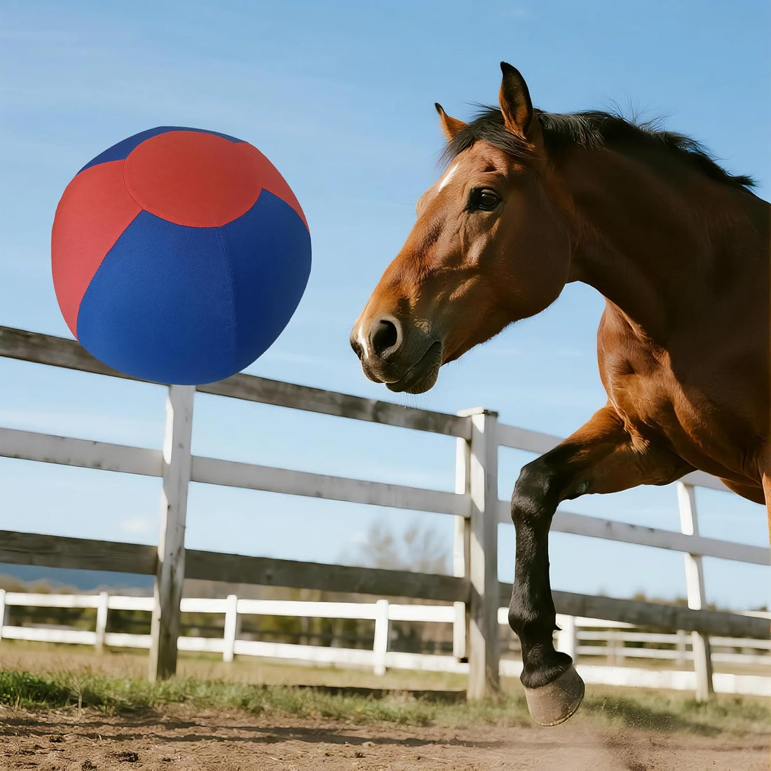 18" Jolly Ball for Horses