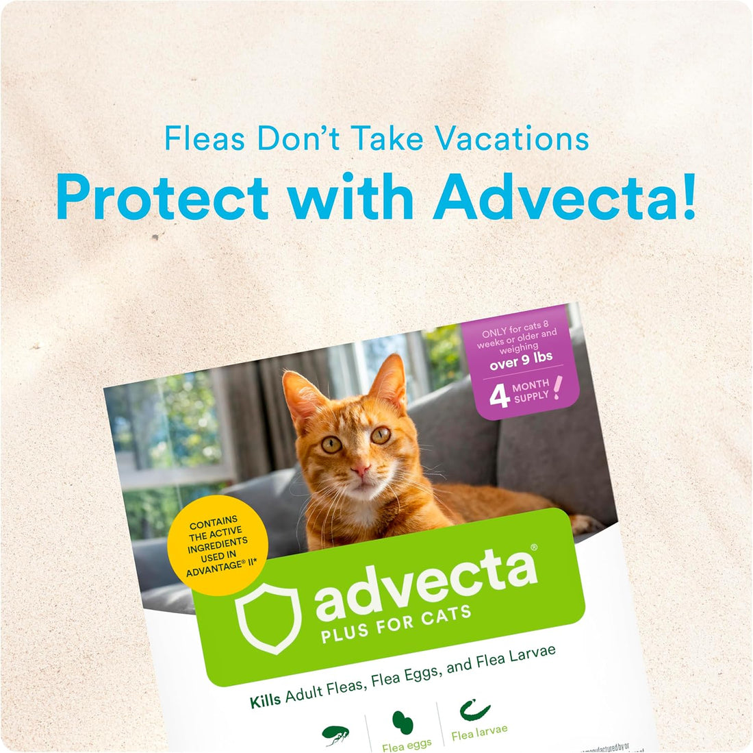 Advecta Plus Topical Large Cat Flea Treatment for Cats and Kittens
