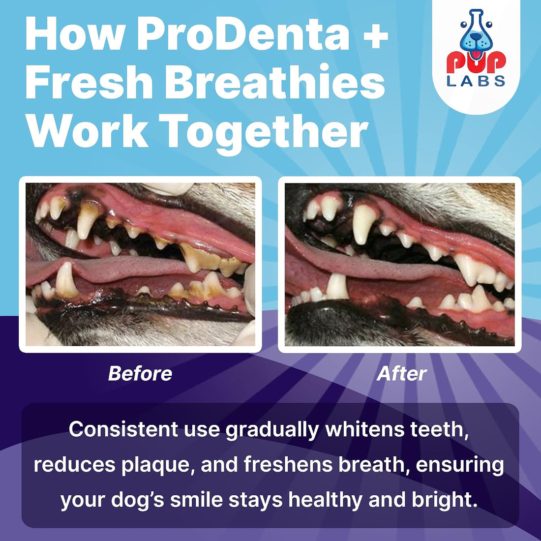 Pup Labs ProDenta & Fresh Breathies Bundle