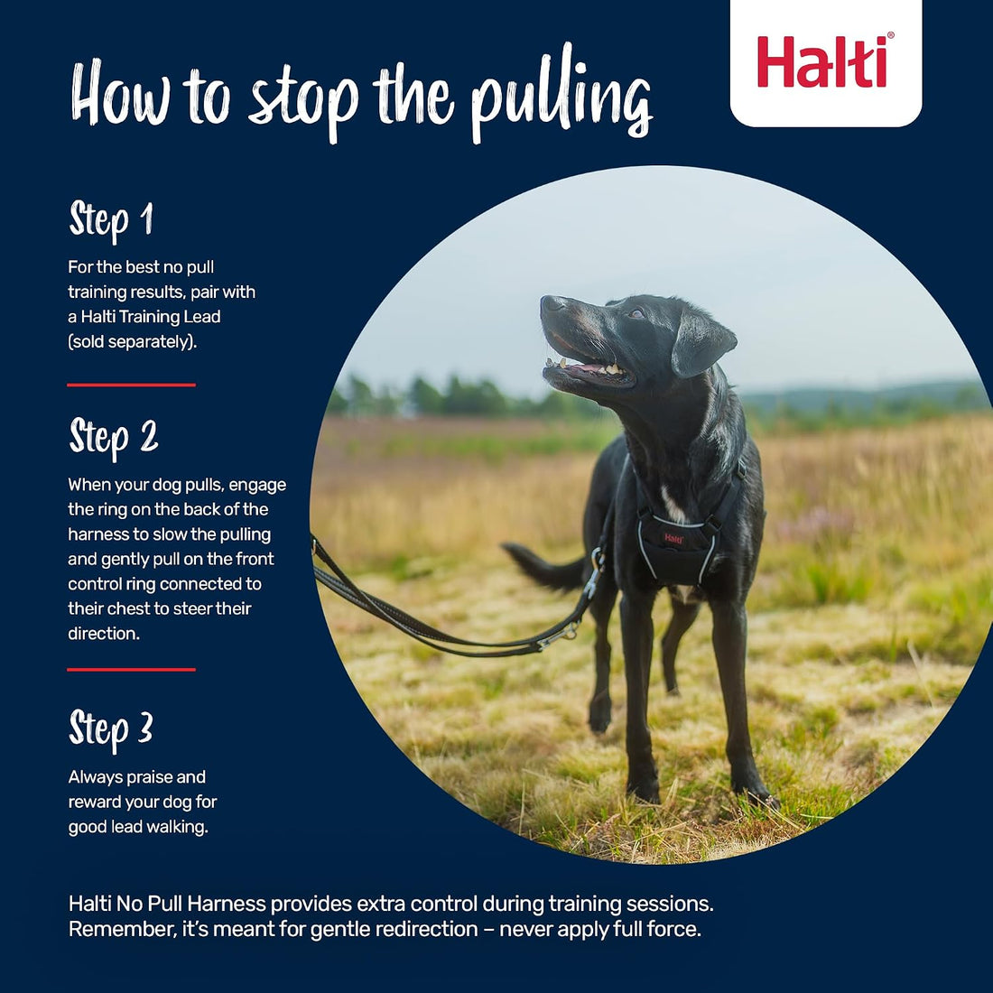 Halti No Pull Dog Harness | Size