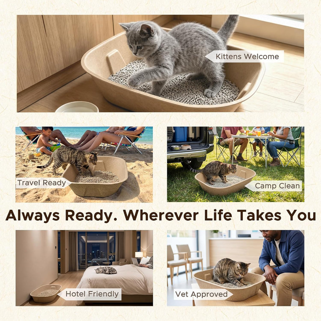 3-Pack Disposable Litter Box for Kittens