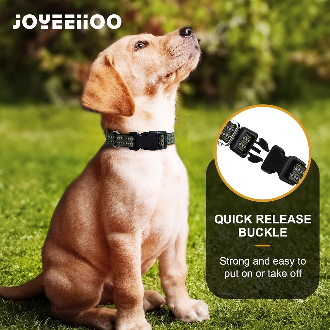 Martingale Collar for Dogs, No Pull No Choking(Forest Green,L)