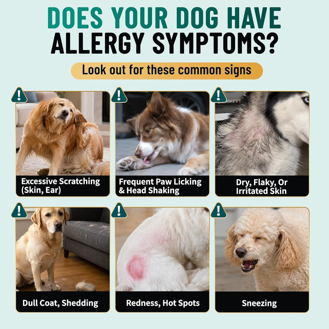 Dog Allergy Chews is Human Grade Itch Relief Multivitamin & Immune