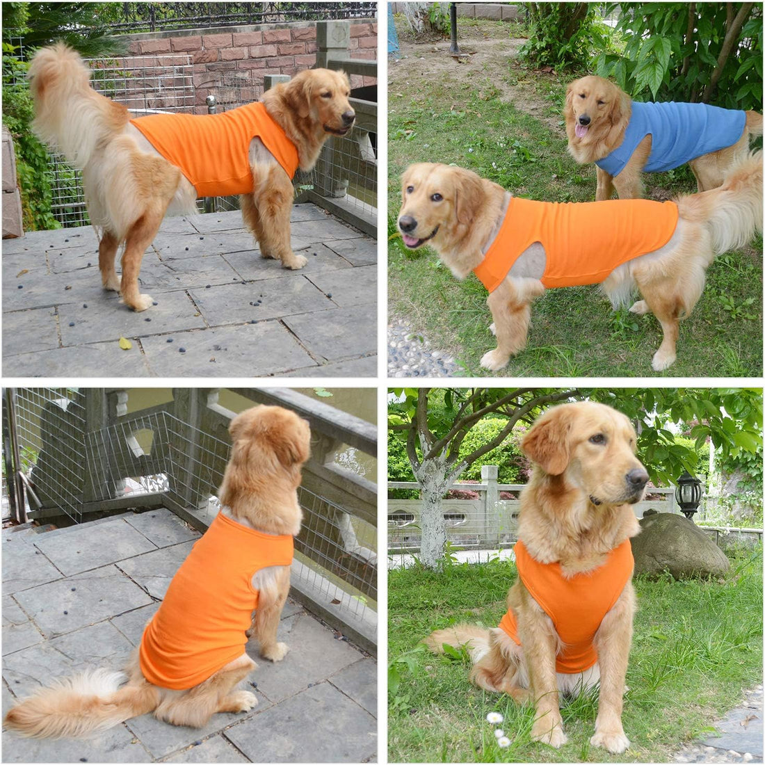 Lovelonglong 2019 Summer Pet Clothing
