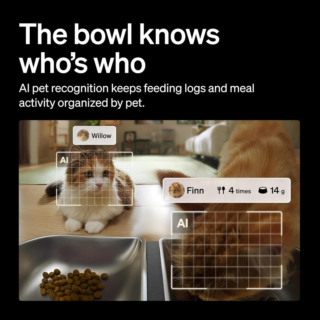 PETLIBRO Automatic Cat Feeder for 2 Cats