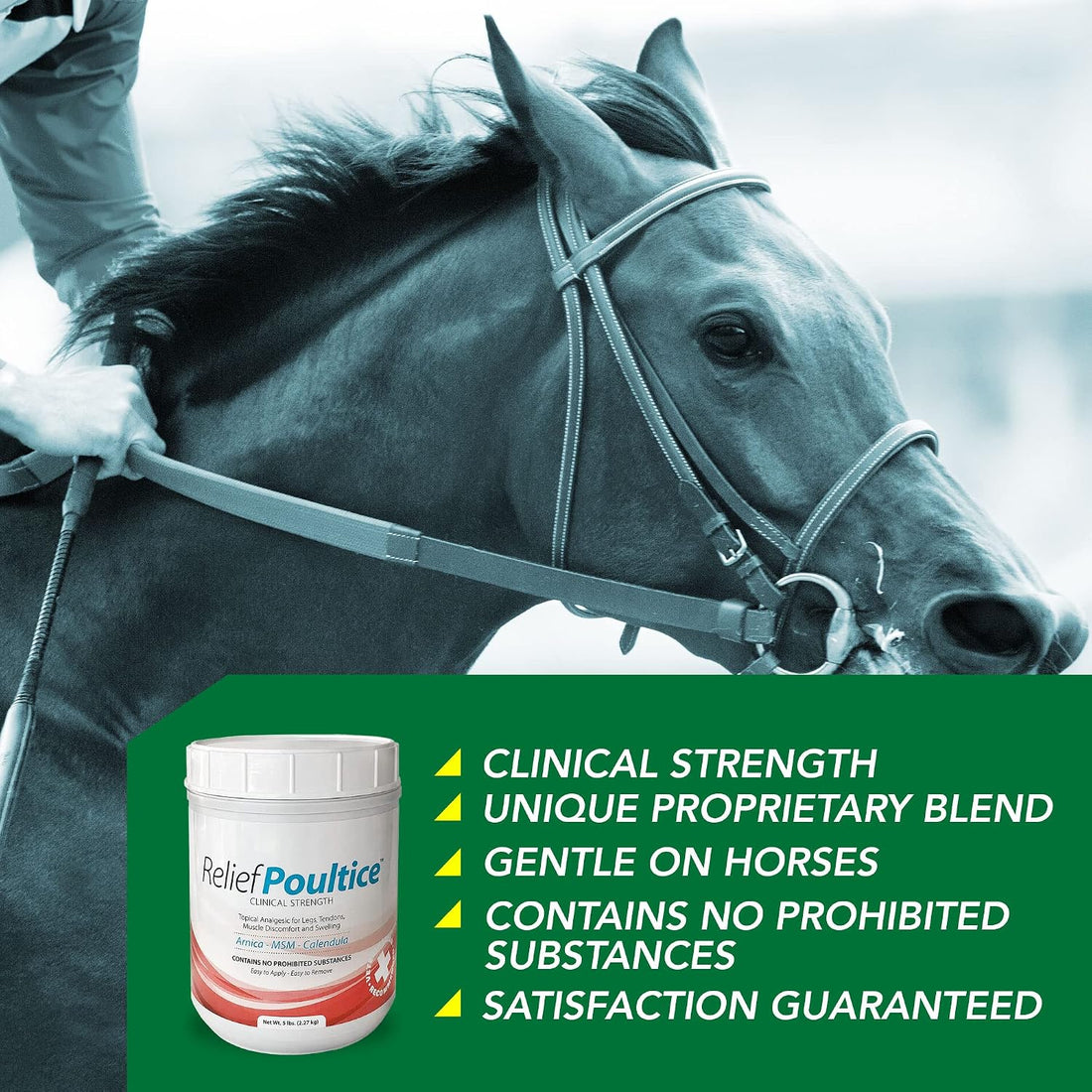 Ramard Relief Poultice for Horses -Veterinary Liniment Gel for Horse