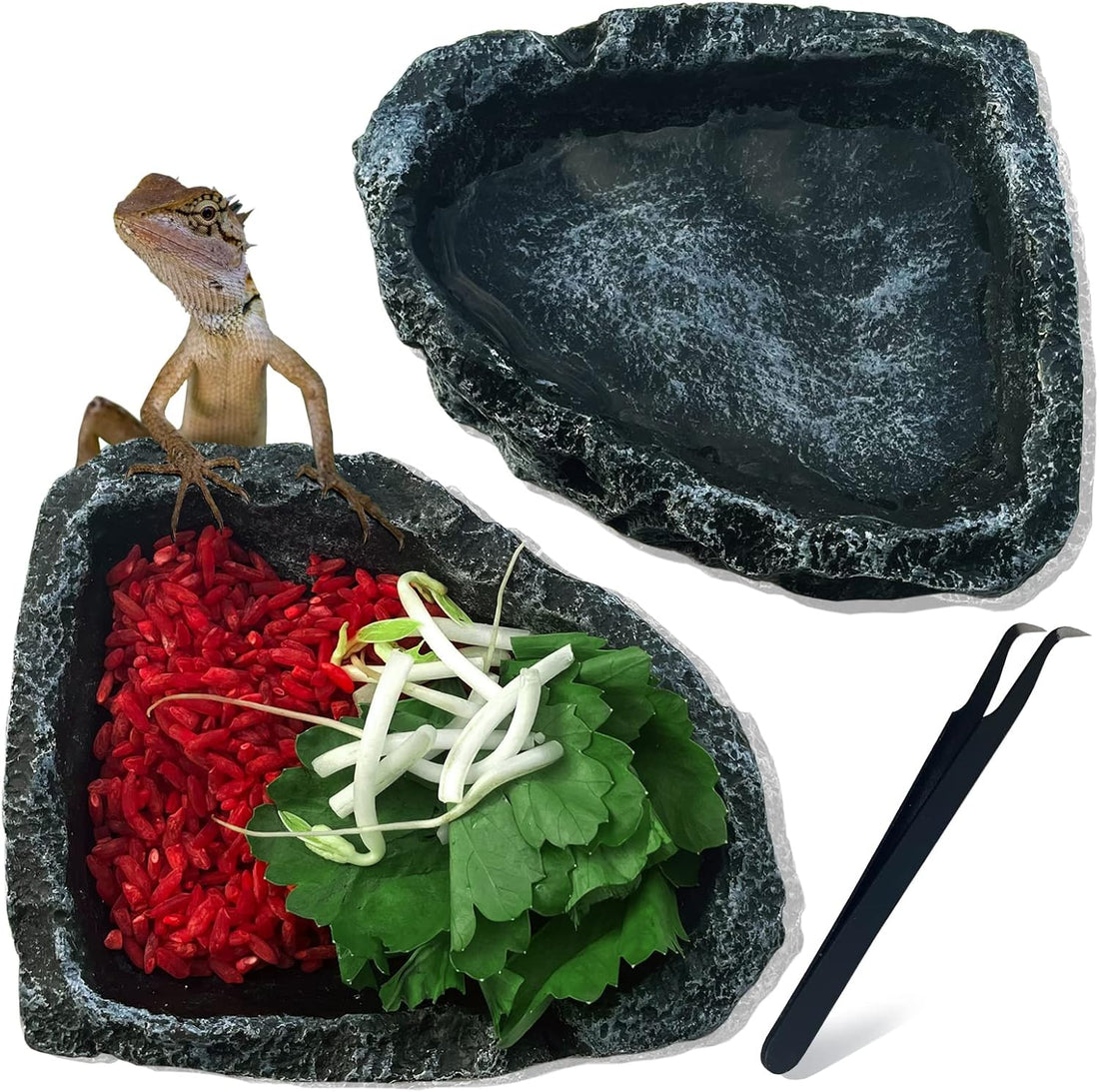 2Pcs Reptile Water Bowl, Feeding Dish for Leopard Gecko Lizard