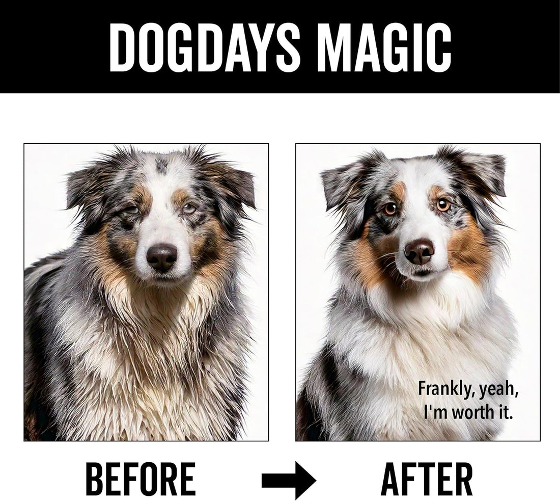 Pride and Groom DogDays Deshedding Dog Shampoo