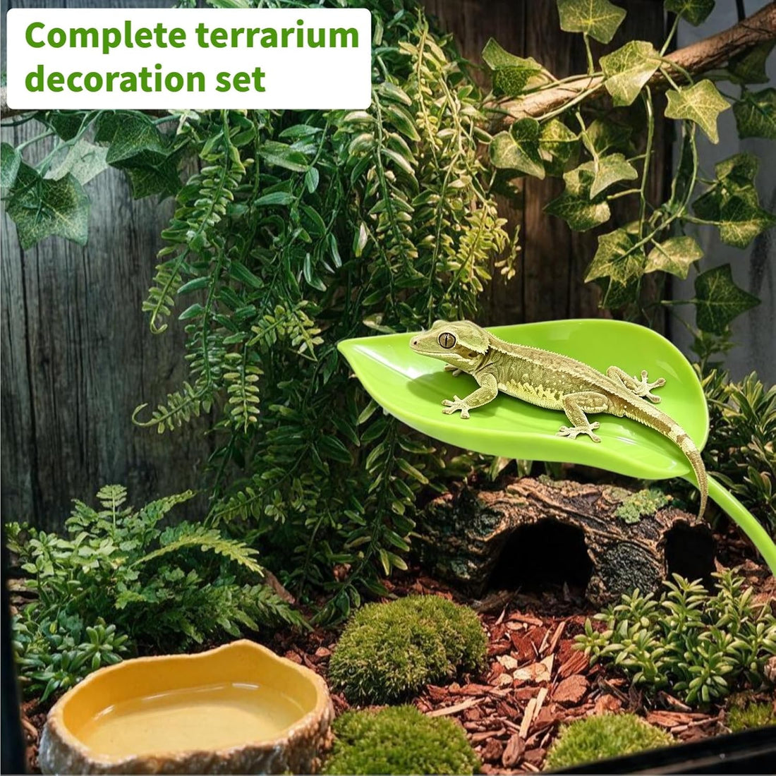 Bearded Dragon Tank Accessories, Terrarium Decor, Ball Python