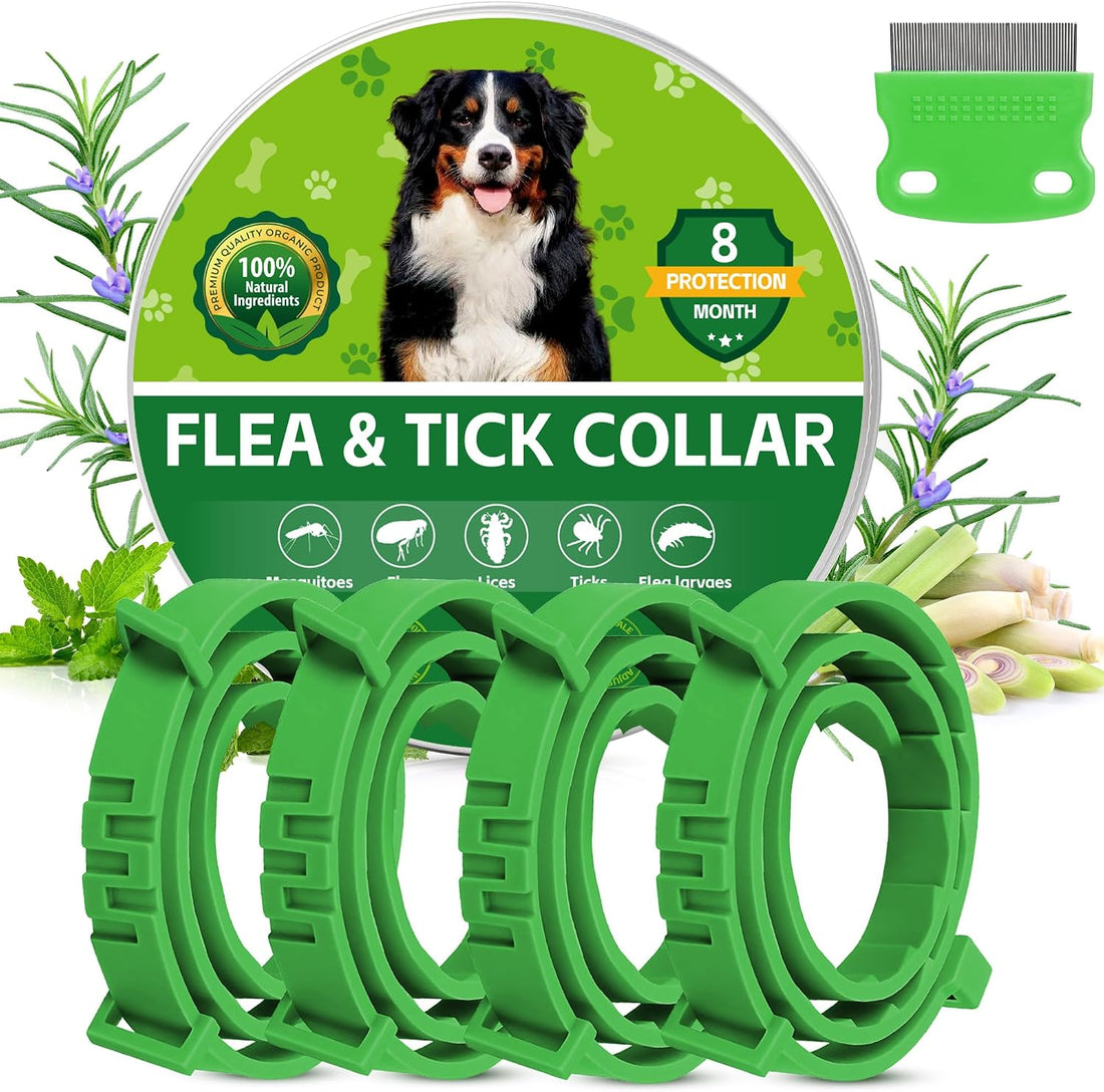 4 Pack Dog Flea Collars for Small Medium Large Dogs, Adjustable