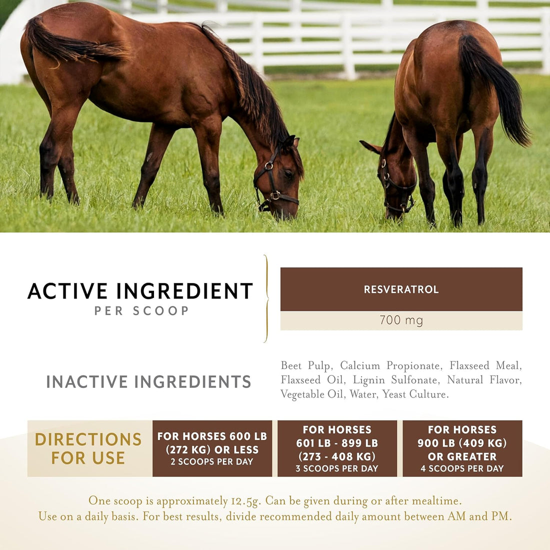 Equithrive Metabarol Horse Supplement, Powder, 2 lbs