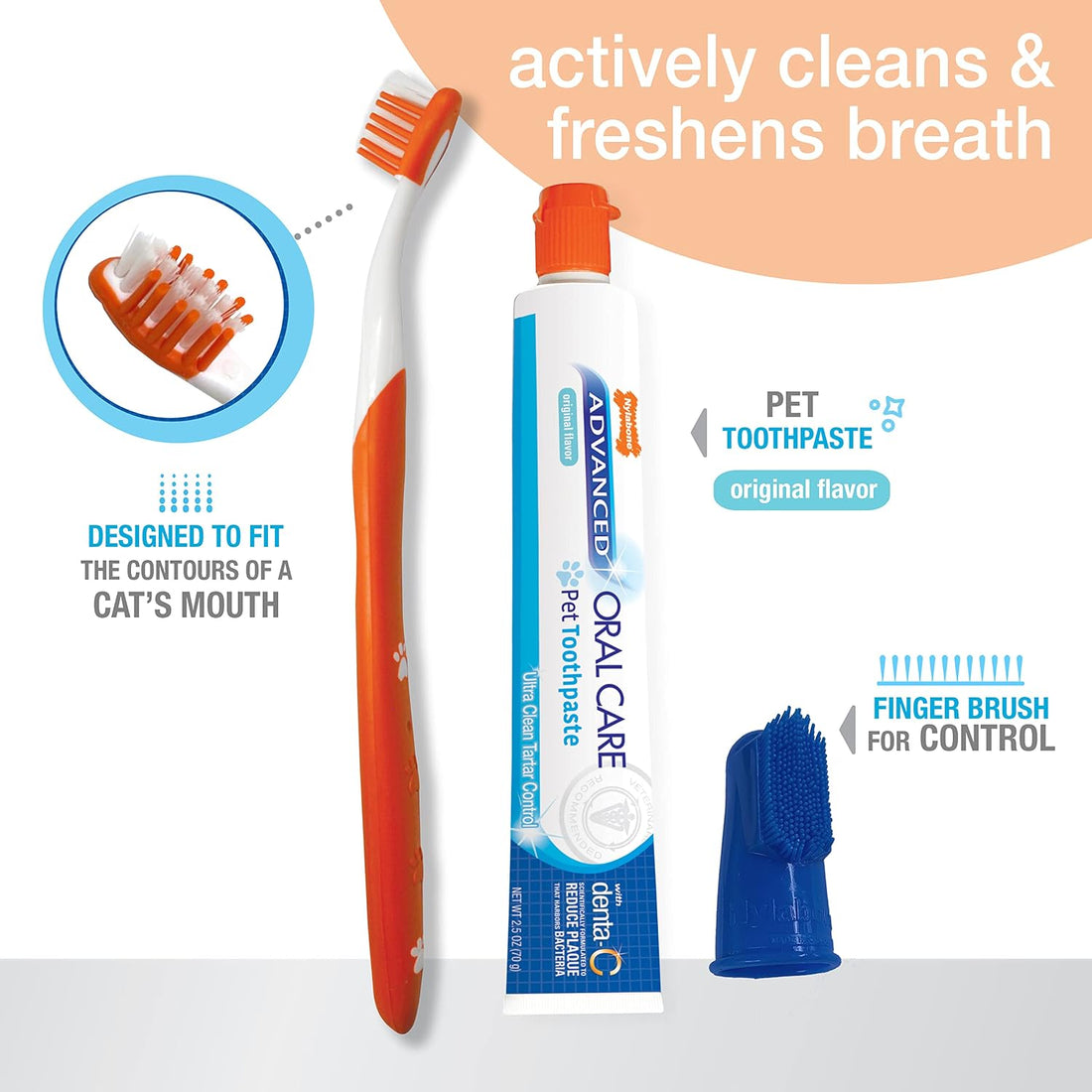 Nylabone Advanced Oral Care Dental Kit