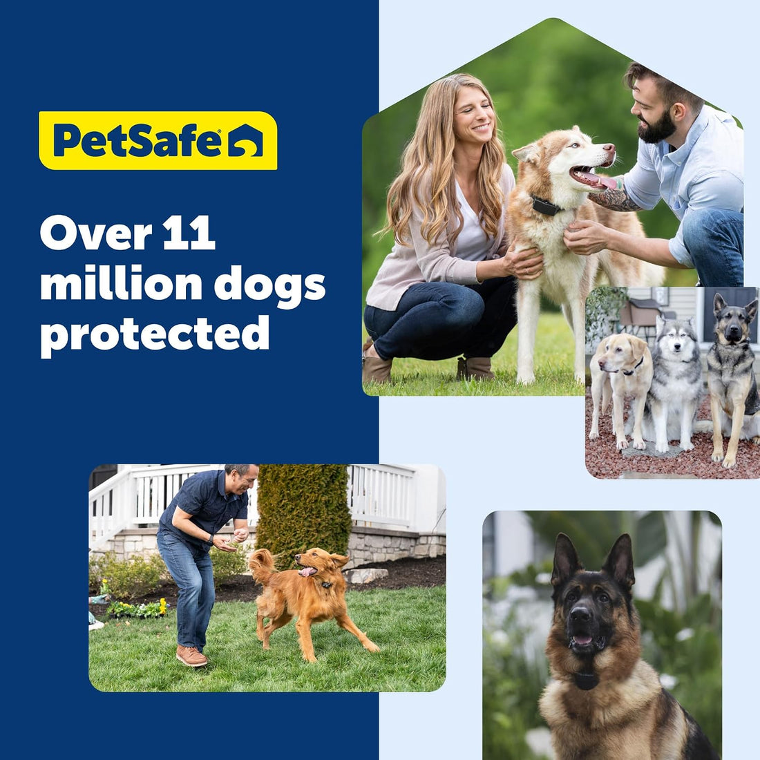PetSafe Stay & Play Wireless Pet Fence with Replaceable Battery