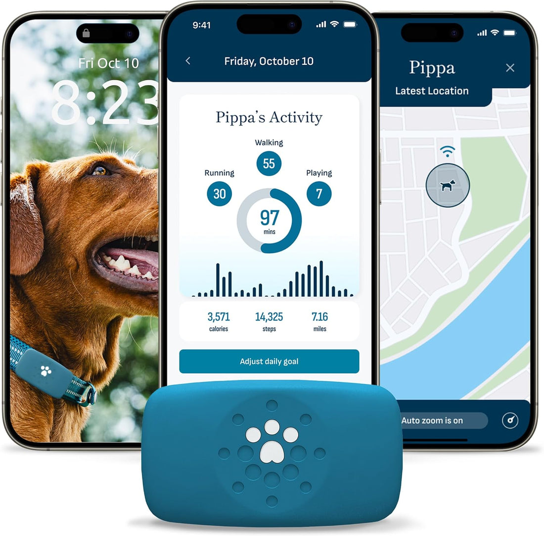 Petivity Smart GPS and Activity Dog Tracker Tag