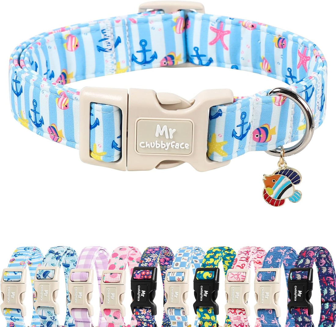 ·MR. CHUBBYFACE· Halloween Pink Pumpkin Dog Collar for Large Dogs