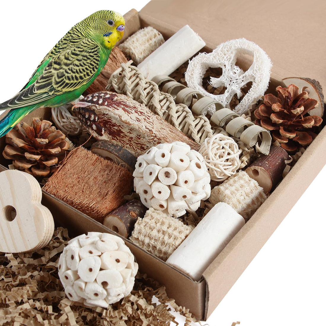 Kyouki Bird Toys Parrot Toys Natural Bird Foraging Box Foot