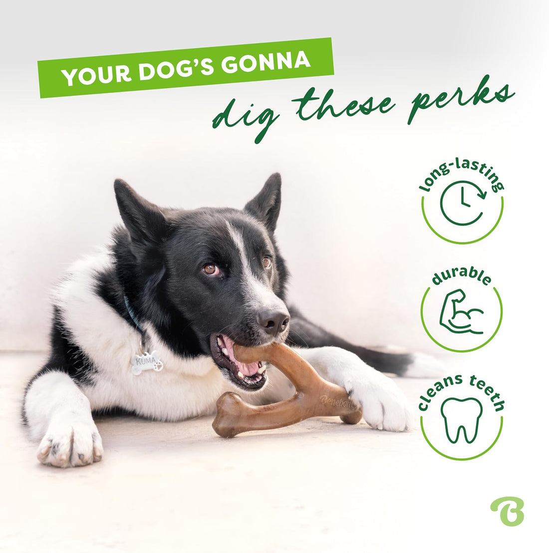 Benebone Wishbone Dog Chew Toy for Aggressive Chewers