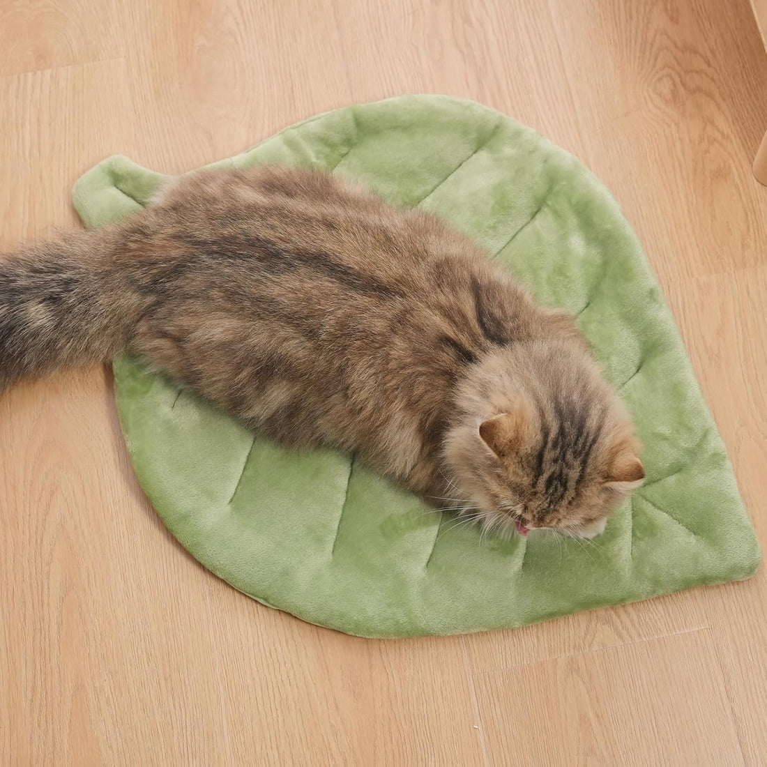Nimorio Self Warming Cat Leaf Mat,Comfortable Soft Fabric Breathable