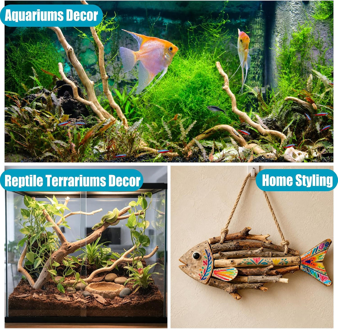 200g Natural Driftwood Root for Aquarium