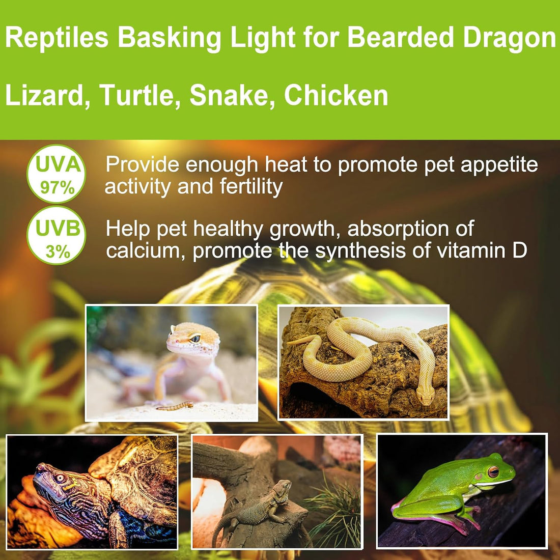 UVB UVA Reptile Light Bulb 25W Bulb for Reptiles and Amphibians Tanks