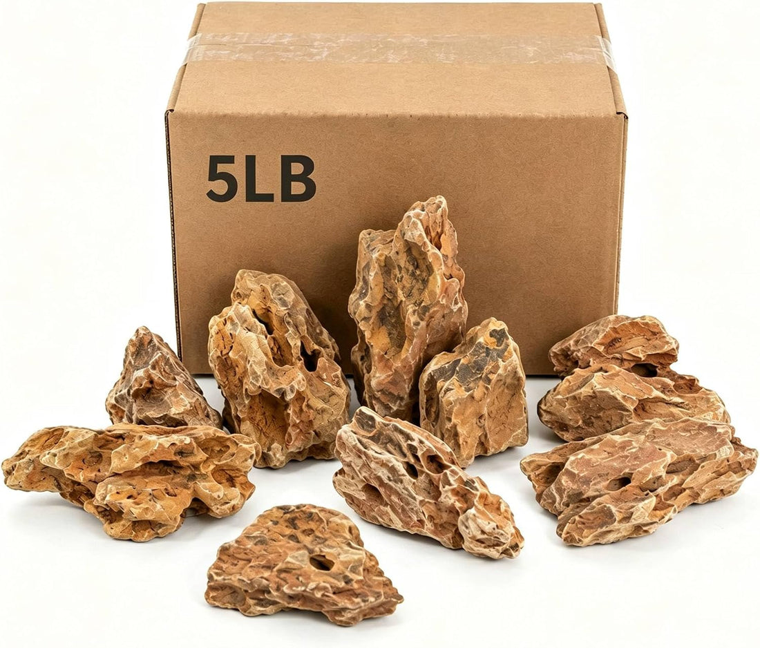 3LBs Natural Seiryu Stones,Aquarium Aquascaping Decor Rocks (2-5 inch)