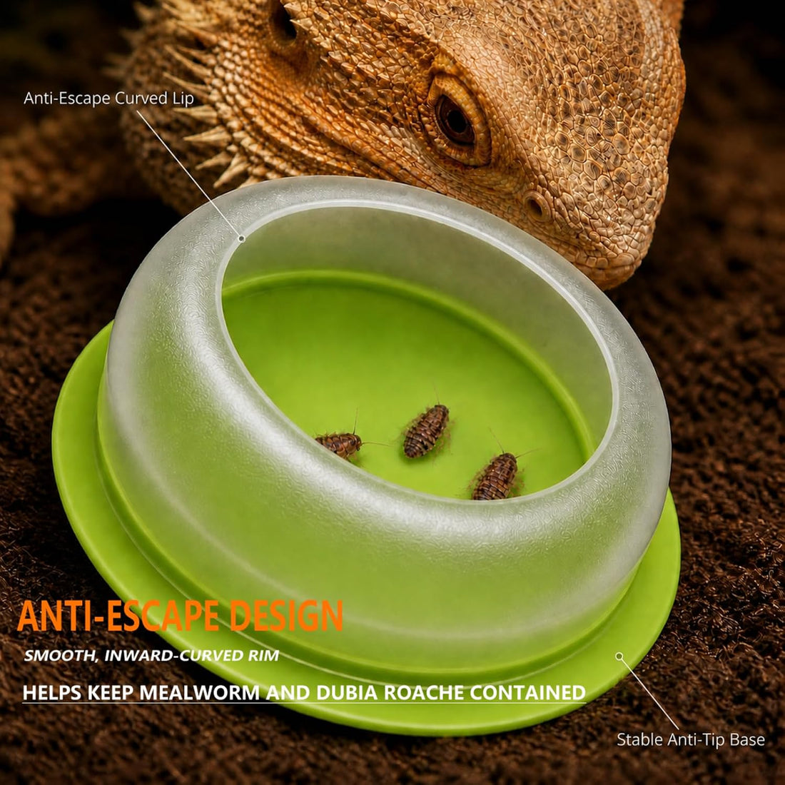 BETTERDAY Reptile Food Dish, Anti-Escape Feeder Bowl, Large 1-Pack