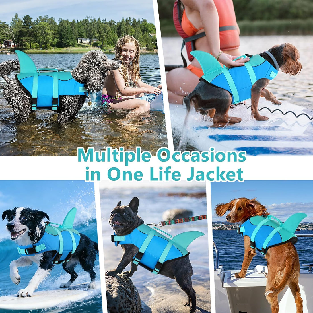 Dogcheer Dog Life Jacket, Cute Shark Dog Life Vest for Swimming